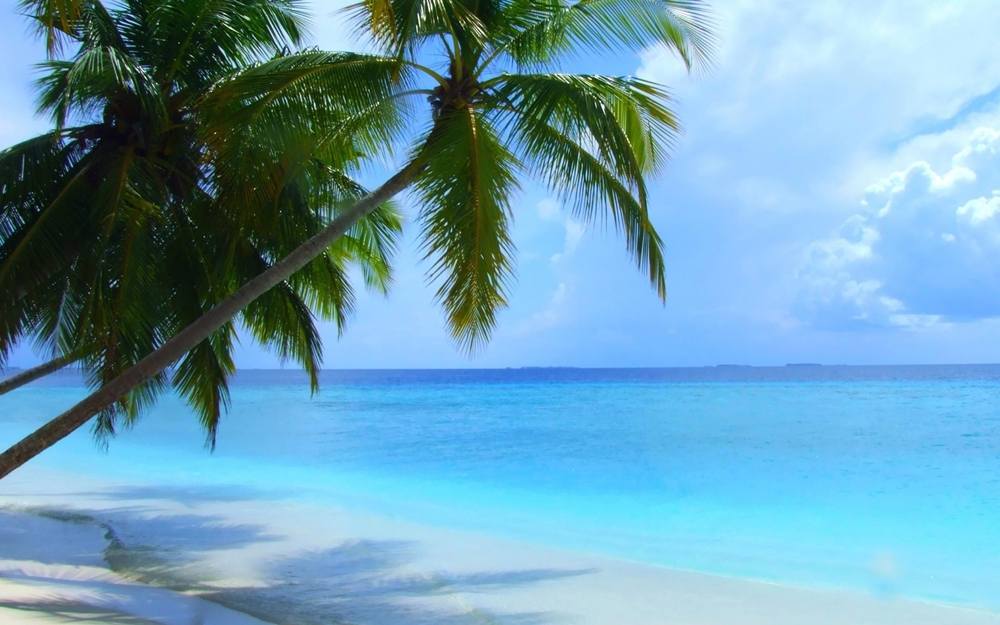Season-(Summer-ฤดูร้อน)HD-Wallpapers-Backgrounds ภาพพื้นหลัง พักหน้าจอ No.16