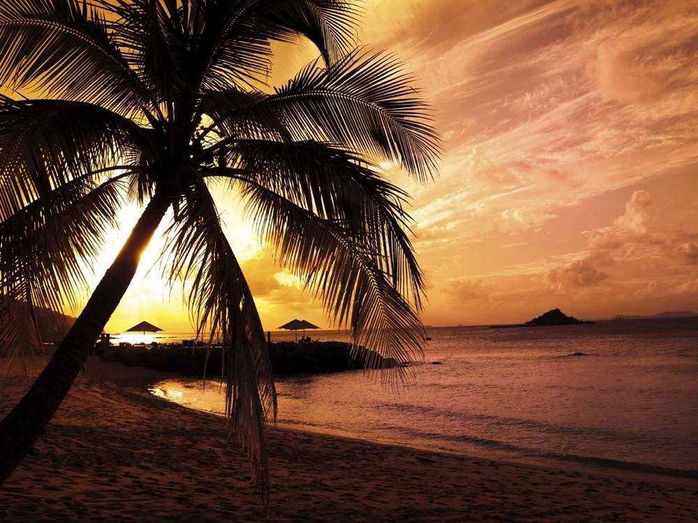 Season-(Summer-ฤดูร้อน)HD-Wallpapers-Backgrounds ภาพพื้นหลัง พักหน้าจอ No.16