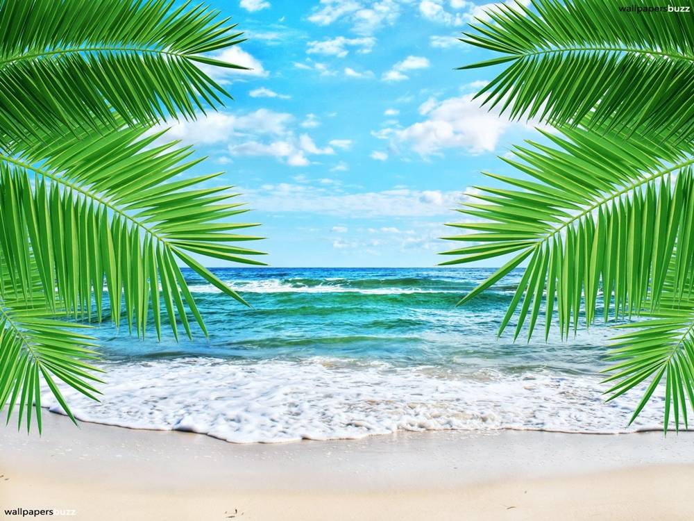 Season-(Summer-ฤดูร้อน)HD-Wallpapers-Backgrounds ภาพพื้นหลัง พักหน้าจอ No.16