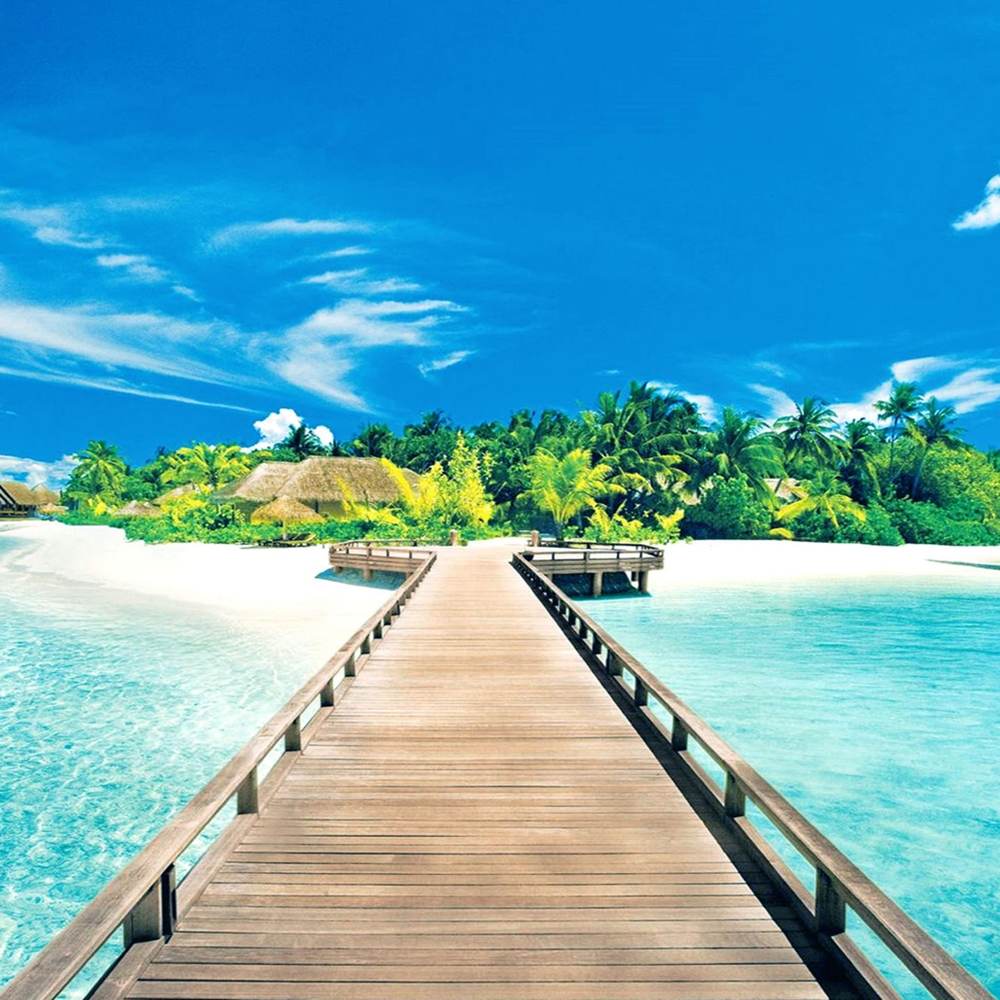 Season-(Summer-ฤดูร้อน)HD-Wallpapers-Backgrounds ภาพพื้นหลัง พักหน้าจอ No.16