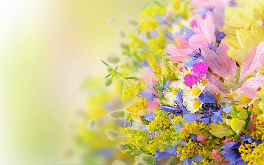 Season-(Summer-ฤดูร้อน)HD-Wallpapers-Backgrounds ภาพพื้นหลัง พักหน้าจอ No.17