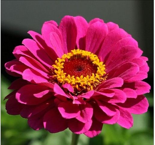 Season-(Summer-ฤดูร้อน)HD-Wallpapers-Backgrounds ภาพพื้นหลัง พักหน้าจอ No.17