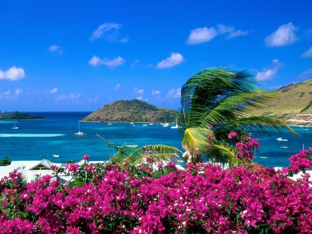 Season-(Summer-ฤดูร้อน)HD-Wallpapers-Backgrounds ภาพพื้นหลัง พักหน้าจอ No.17