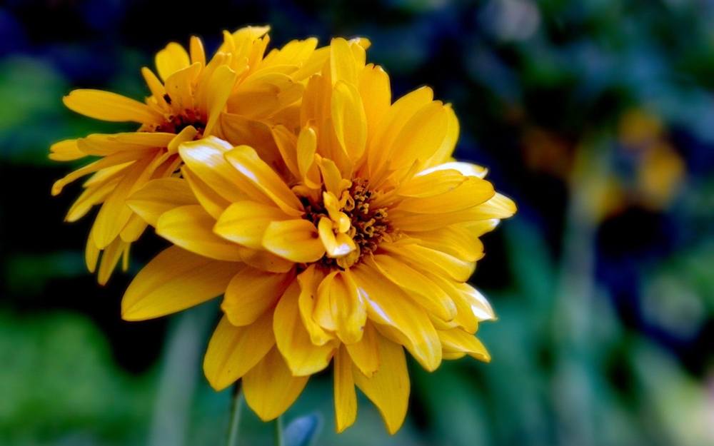 Season-(Summer-ฤดูร้อน)HD-Wallpapers-Backgrounds ภาพพื้นหลัง พักหน้าจอ No.17