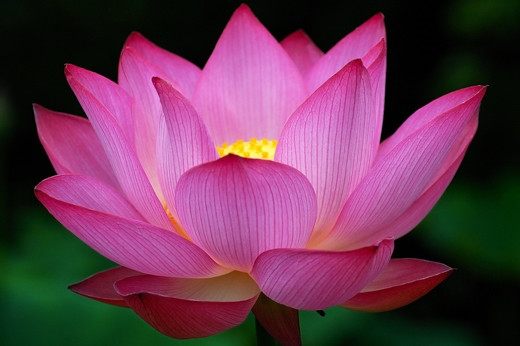 Season-(Summer-ฤดูร้อน)HD-Wallpapers-Backgrounds ภาพพื้นหลัง พักหน้าจอ No.18