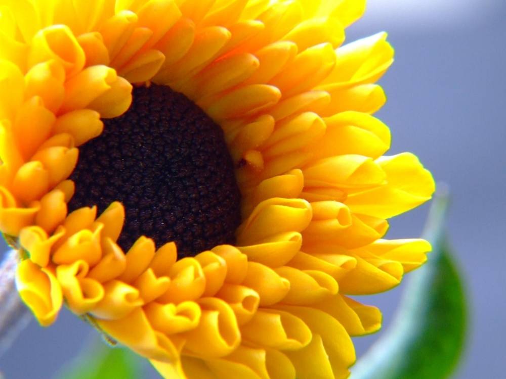 Season-(Summer-ฤดูร้อน)HD-Wallpapers-Backgrounds ภาพพื้นหลัง พักหน้าจอ No.19