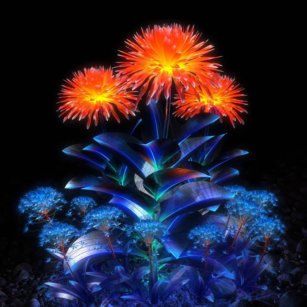 Season-(Summer-ฤดูร้อน)HD-Wallpapers-Backgrounds ภาพพื้นหลัง พักหน้าจอ No.19