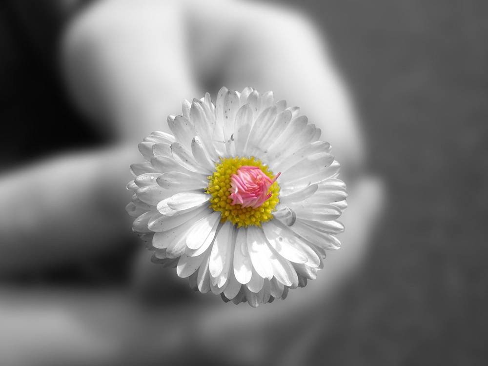 Season-(Summer-ฤดูร้อน)HD-Wallpapers-Backgrounds ภาพพื้นหลัง พักหน้าจอ No.20