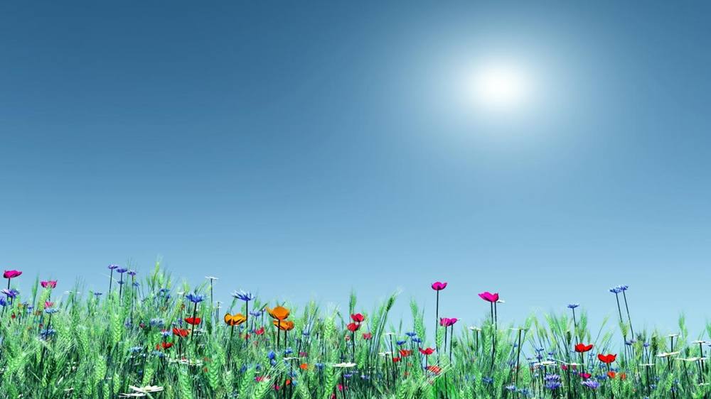 Season-(Summer-ฤดูร้อน)HD-Wallpapers-Backgrounds ภาพพื้นหลัง พักหน้าจอ No.21