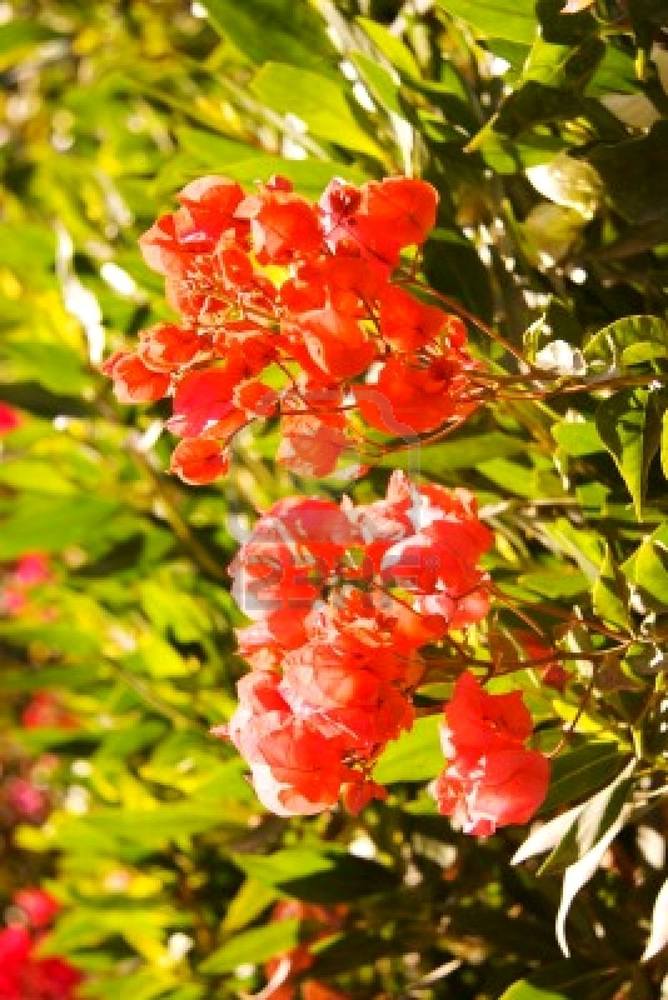 Season-(Summer-ฤดูร้อน)HD-Wallpapers-Backgrounds ภาพพื้นหลัง พักหน้าจอ No.21