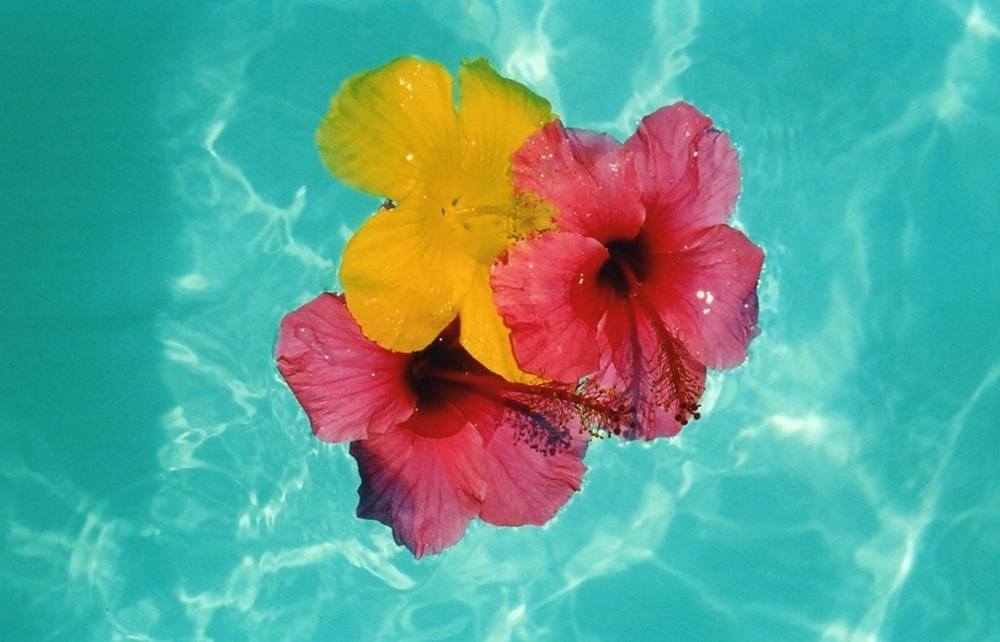 Season-(Summer-ฤดูร้อน)HD-Wallpapers-Backgrounds ภาพพื้นหลัง พักหน้าจอ No.22