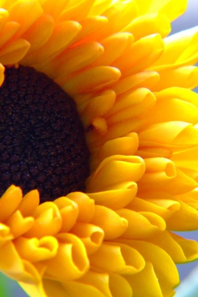 Season-(Summer-ฤดูร้อน)HD-Wallpapers-Backgrounds ภาพพื้นหลัง พักหน้าจอ No.22