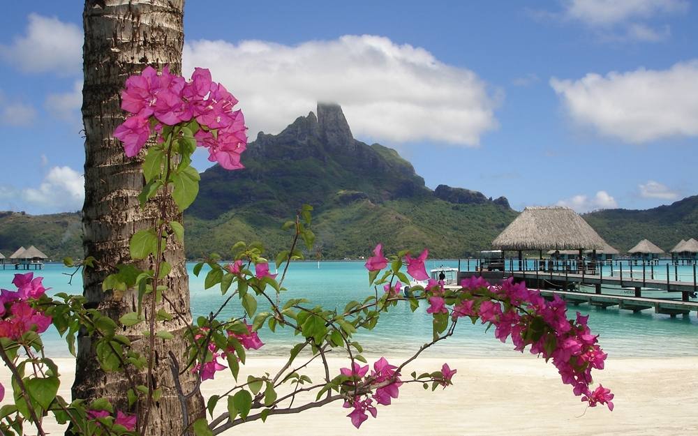 Season-(Summer-ฤดูร้อน)HD-Wallpapers-Backgrounds ภาพพื้นหลัง พักหน้าจอ No.22