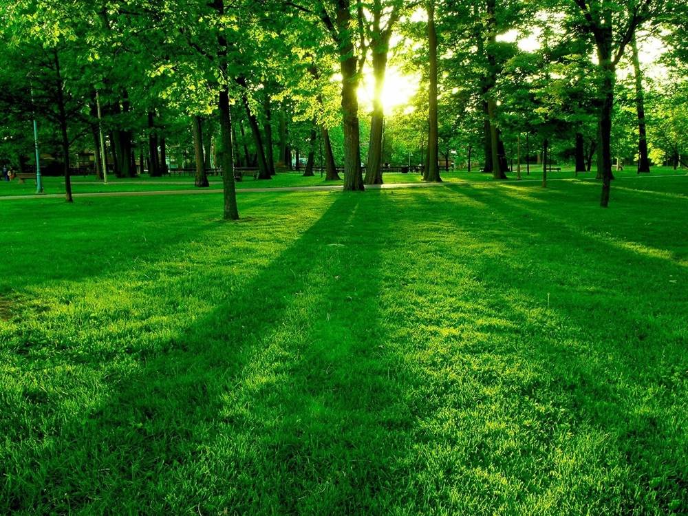 Season-(Summer-ฤดูร้อน)HD-Wallpapers-Backgrounds ภาพพื้นหลัง พักหน้าจอ No.23