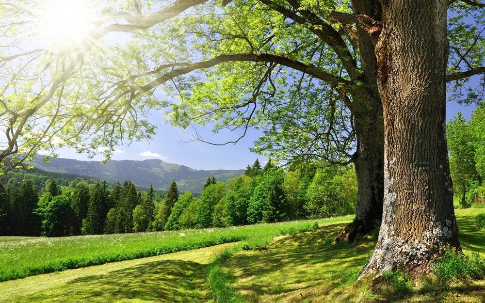Season-(Summer-ฤดูร้อน)HD-Wallpapers-Backgrounds ภาพพื้นหลัง พักหน้าจอ No.23