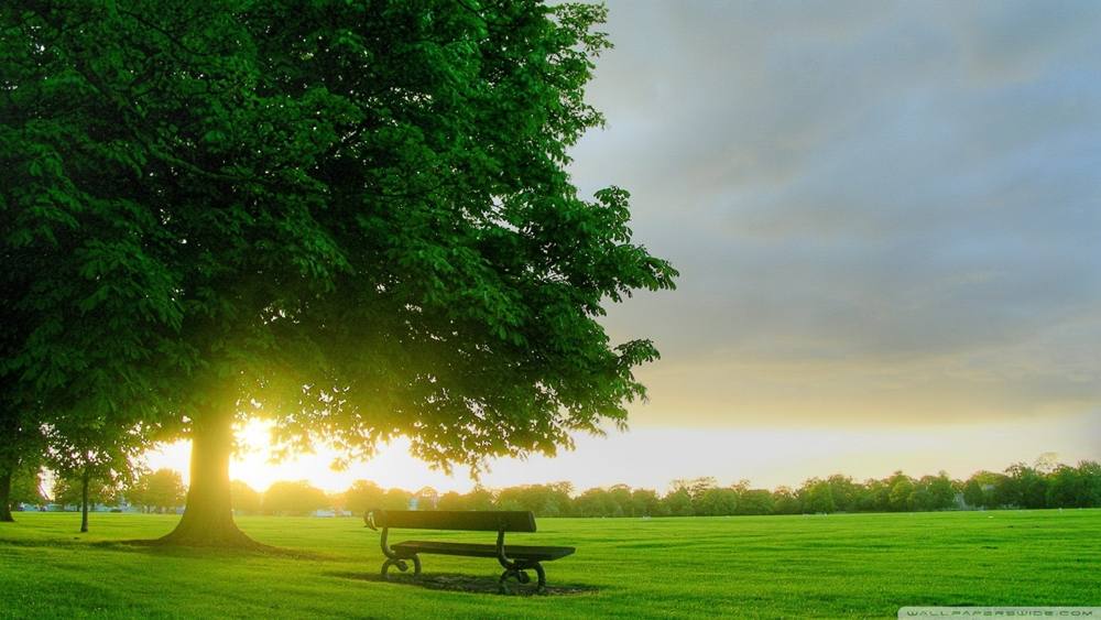 Season-(Summer-ฤดูร้อน)HD-Wallpapers-Backgrounds ภาพพื้นหลัง พักหน้าจอ No.23