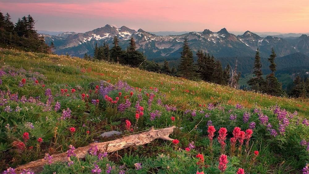 Season-(Summer-ฤดูร้อน)HD-Wallpapers-Backgrounds ภาพพื้นหลัง พักหน้าจอ No.23