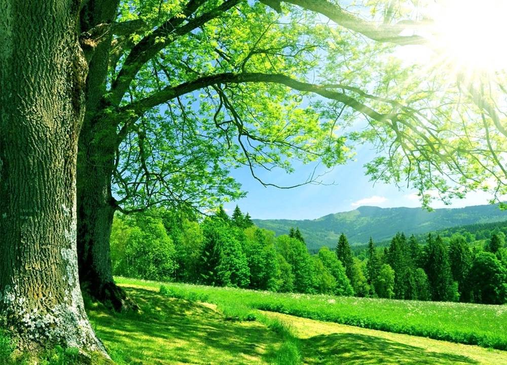 Season-(Summer-ฤดูร้อน)HD-Wallpapers-Backgrounds ภาพพื้นหลัง พักหน้าจอ No.23