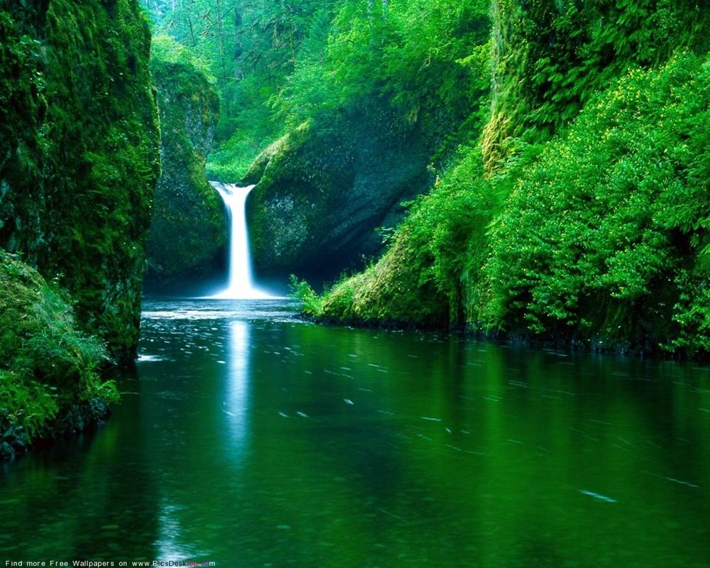 Season-(Summer-ฤดูร้อน)HD-Wallpapers-Backgrounds ภาพพื้นหลัง พักหน้าจอ No.24