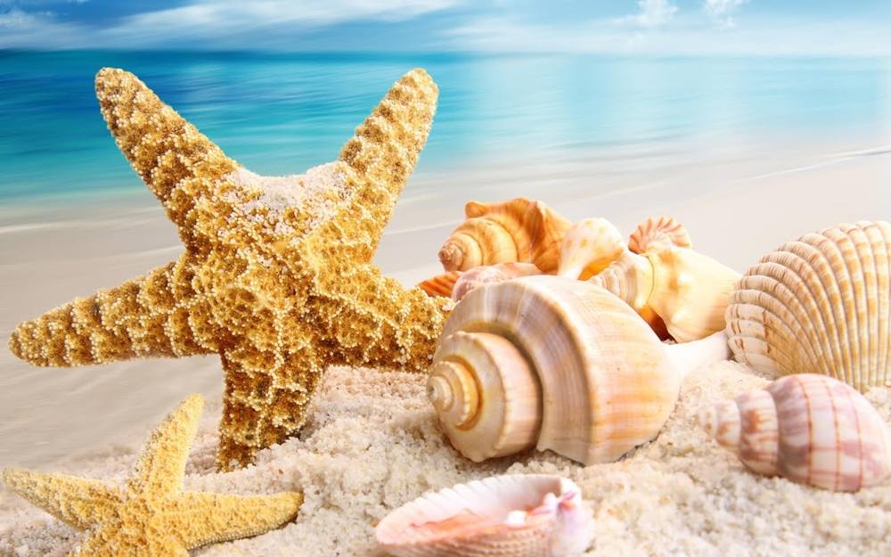 Season-(Summer-ฤดูร้อน)HD-Wallpapers-Backgrounds ภาพพื้นหลัง พักหน้าจอ No.24