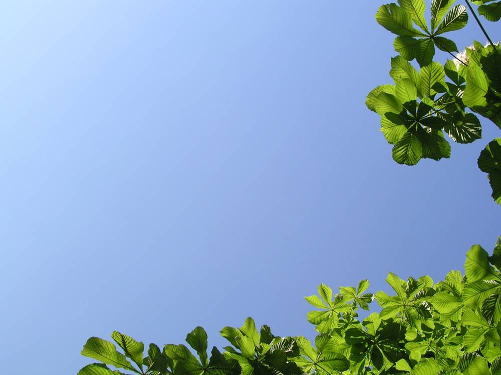 Season-(Summer-ฤดูร้อน)HD-Wallpapers-Backgrounds ภาพพื้นหลัง พักหน้าจอ No.24