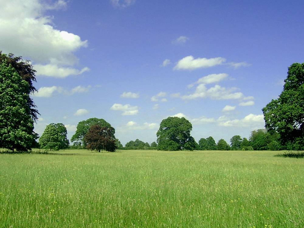Season-(Summer-ฤดูร้อน)HD-Wallpapers-Backgrounds ภาพพื้นหลัง พักหน้าจอ No.25