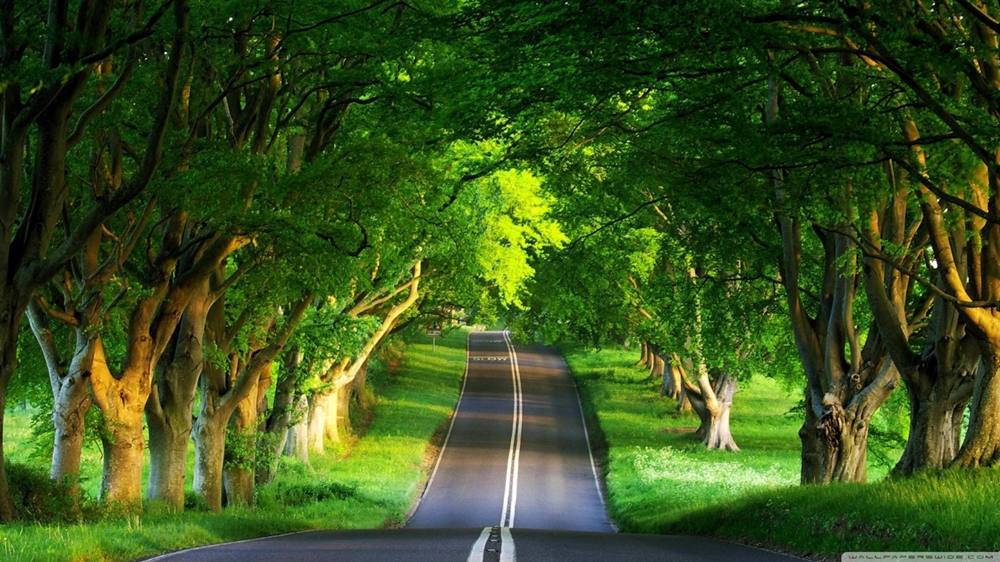 Season-(Summer-ฤดูร้อน)HD-Wallpapers-Backgrounds ภาพพื้นหลัง พักหน้าจอ No.25