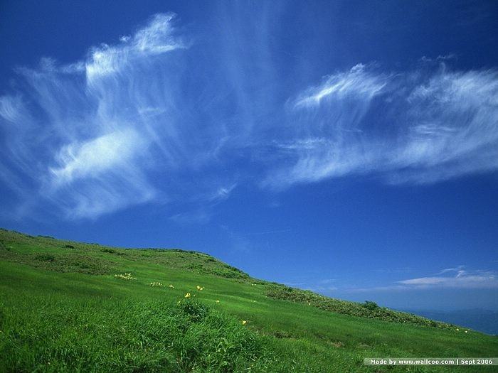 Season-(Summer-ฤดูร้อน)HD-Wallpapers-Backgrounds ภาพพื้นหลัง พักหน้าจอ No.25