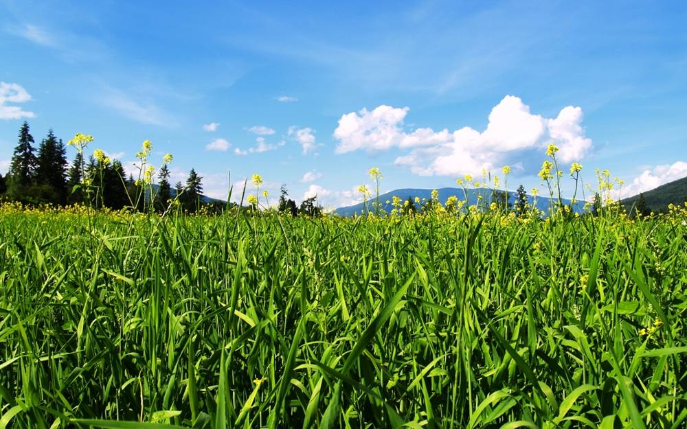 Season-(Summer-ฤดูร้อน)HD-Wallpapers-Backgrounds ภาพพื้นหลัง พักหน้าจอ No.26