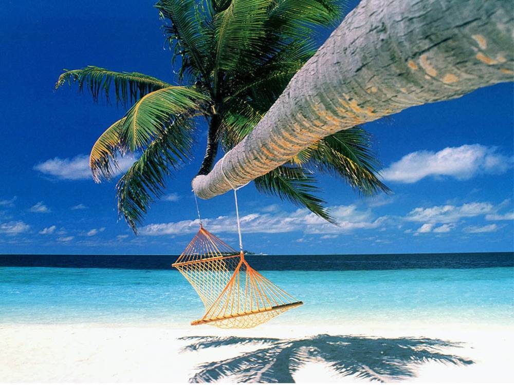 Season-(Summer-ฤดูร้อน)HD-Wallpapers-Backgrounds ภาพพื้นหลัง พักหน้าจอ No.26