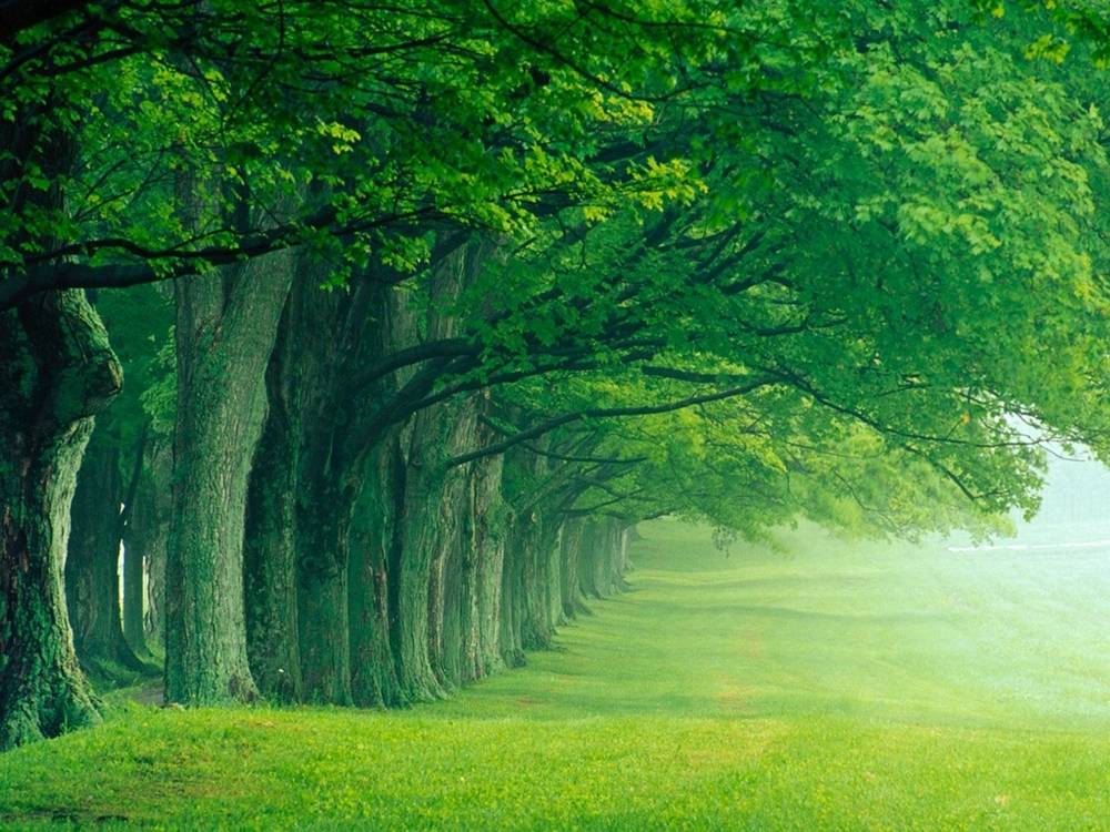 Season-(Summer-ฤดูร้อน)HD-Wallpapers-Backgrounds ภาพพื้นหลัง พักหน้าจอ No.26