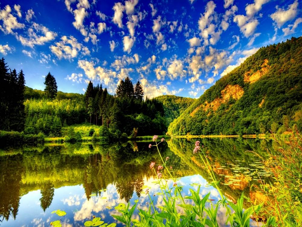 Season-(Summer-ฤดูร้อน)HD-Wallpapers-Backgrounds ภาพพื้นหลัง พักหน้าจอ No.27