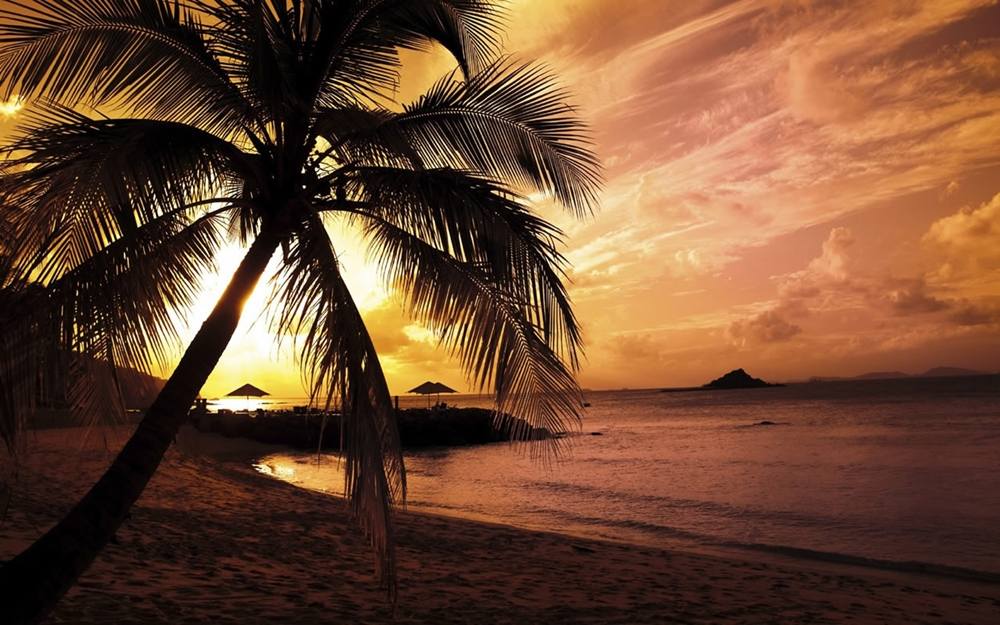 Season-(Summer-ฤดูร้อน)HD-Wallpapers-Backgrounds ภาพพื้นหลัง พักหน้าจอ No.27