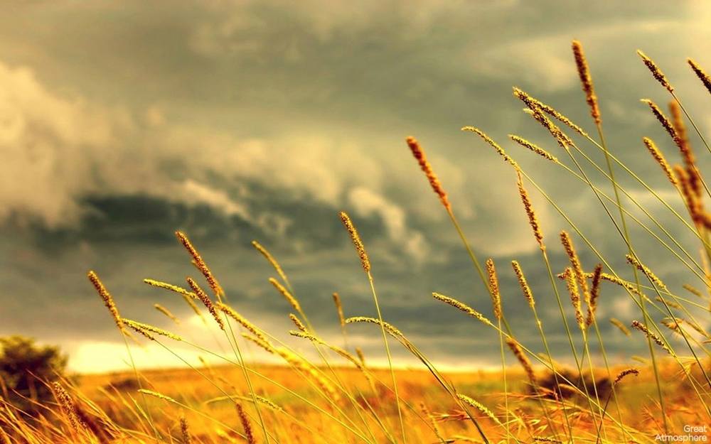 Season-(Summer-ฤดูร้อน)HD-Wallpapers-Backgrounds ภาพพื้นหลัง พักหน้าจอ No.27