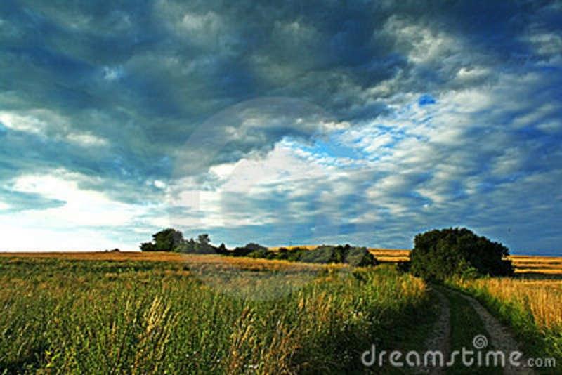 Season-(Summer-ฤดูร้อน)HD-Wallpapers-Backgrounds ภาพพื้นหลัง พักหน้าจอ No.27