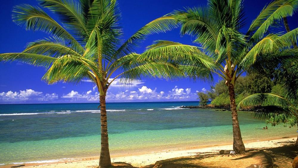 Season-(Summer-ฤดูร้อน)HD-Wallpapers-Backgrounds ภาพพื้นหลัง พักหน้าจอ No.27