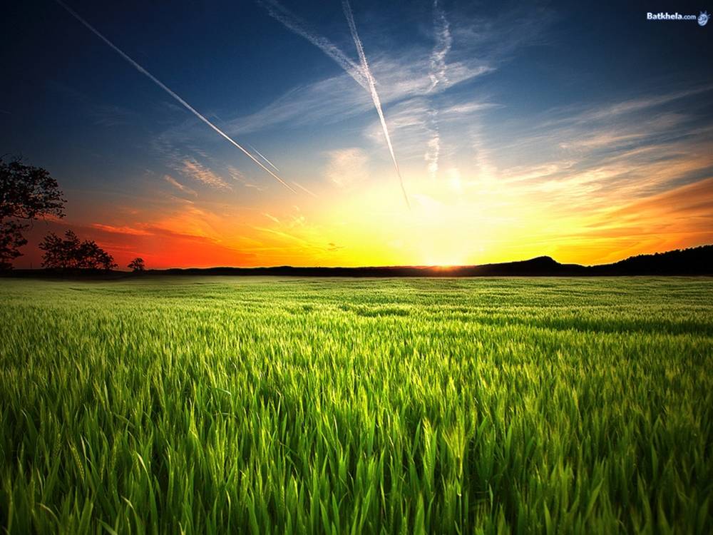 Season-(Summer-ฤดูร้อน)HD-Wallpapers-Backgrounds ภาพพื้นหลัง พักหน้าจอ No.27