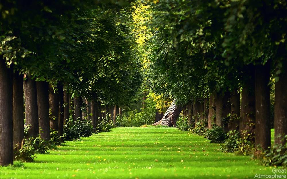 Season-(Summer-ฤดูร้อน)HD-Wallpapers-Backgrounds ภาพพื้นหลัง พักหน้าจอ No.27