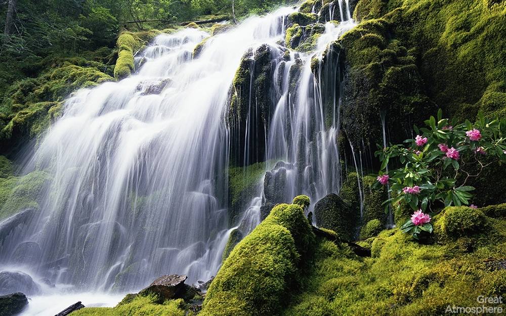 Season-(Summer-ฤดูร้อน)HD-Wallpapers-Backgrounds ภาพพื้นหลัง พักหน้าจอ No.27