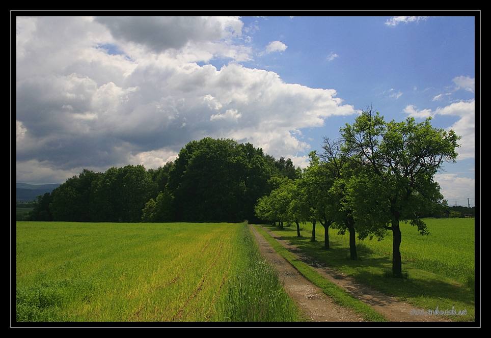 Season-(Summer-ฤดูร้อน)HD-Wallpapers-Backgrounds ภาพพื้นหลัง พักหน้าจอ No.27