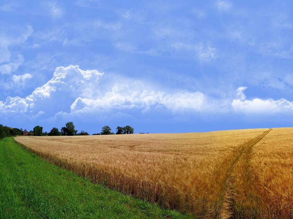Season-(Summer-ฤดูร้อน)HD-Wallpapers-Backgrounds ภาพพื้นหลัง พักหน้าจอ No.27