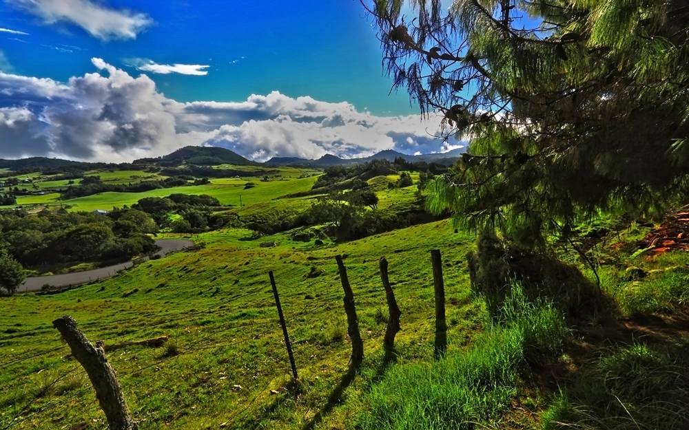 Season-(Summer-ฤดูร้อน)HD-Wallpapers-Backgrounds ภาพพื้นหลัง พักหน้าจอ No.28