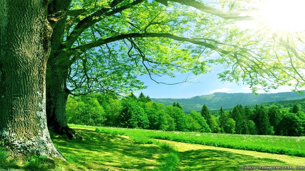 Season-(Summer-ฤดูร้อน)HD-Wallpapers-Backgrounds ภาพพื้นหลัง พักหน้าจอ No.28