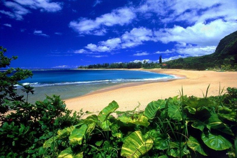 Season-(Summer-ฤดูร้อน)HD-Wallpapers-Backgrounds ภาพพื้นหลัง พักหน้าจอ No.28