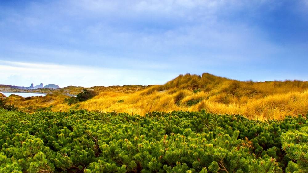 Season-(Summer-ฤดูร้อน)HD-Wallpapers-Backgrounds ภาพพื้นหลัง พักหน้าจอ No.28