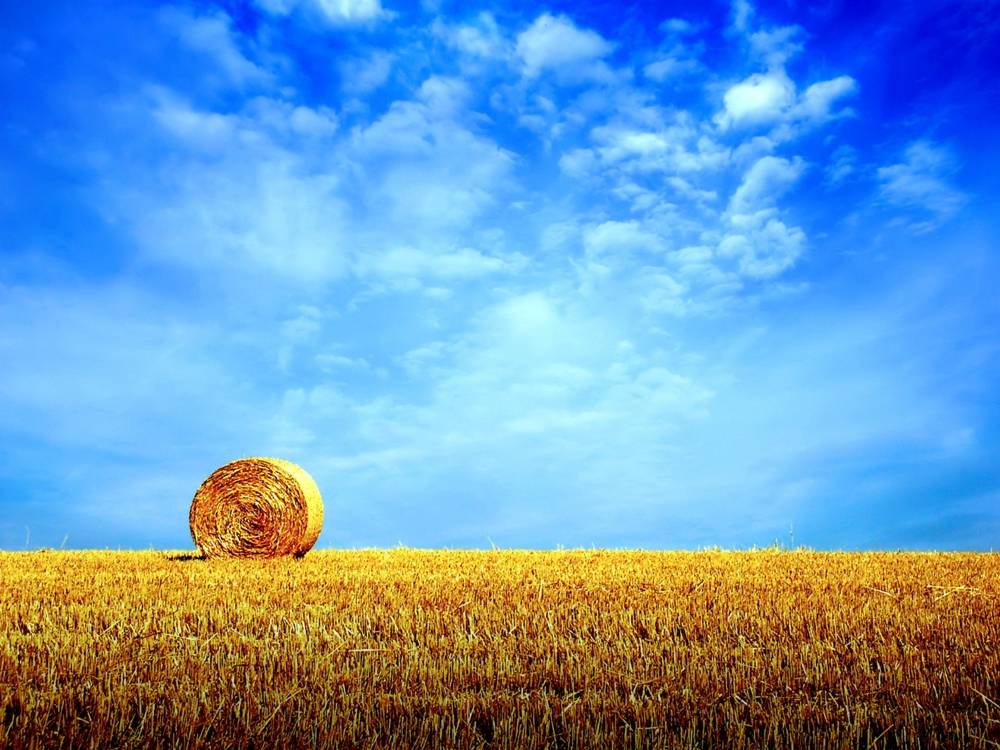 Season-(Summer-ฤดูร้อน)HD-Wallpapers-Backgrounds ภาพพื้นหลัง พักหน้าจอ No.28
