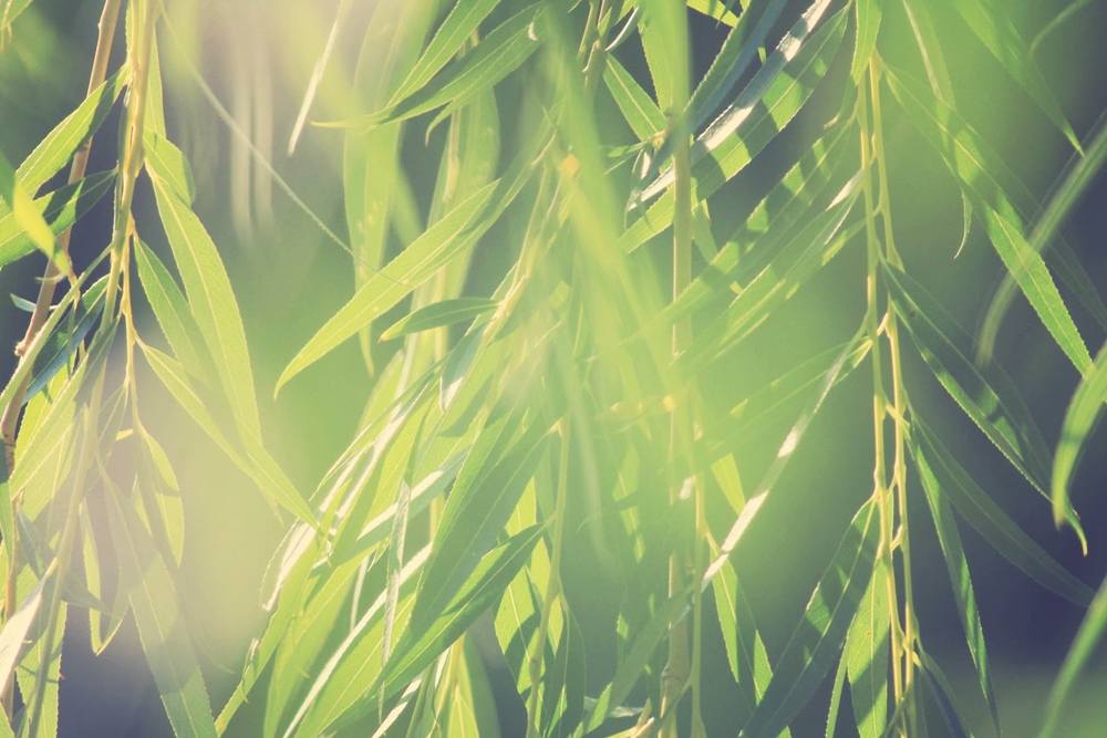 Season-(Summer-ฤดูร้อน)HD-Wallpapers-Backgrounds ภาพพื้นหลัง พักหน้าจอ No.29