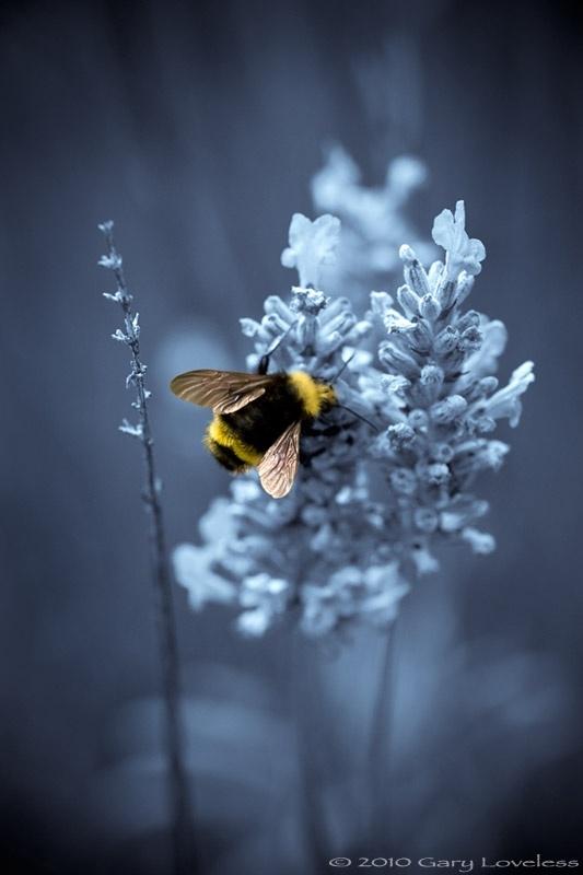 Season-(Summer-ฤดูร้อน)HD-Wallpapers-Backgrounds ภาพพื้นหลัง พักหน้าจอ No.29