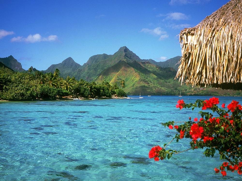 Season-(Summer-ฤดูร้อน)HD-Wallpapers-Backgrounds ภาพพื้นหลัง พักหน้าจอ No.29