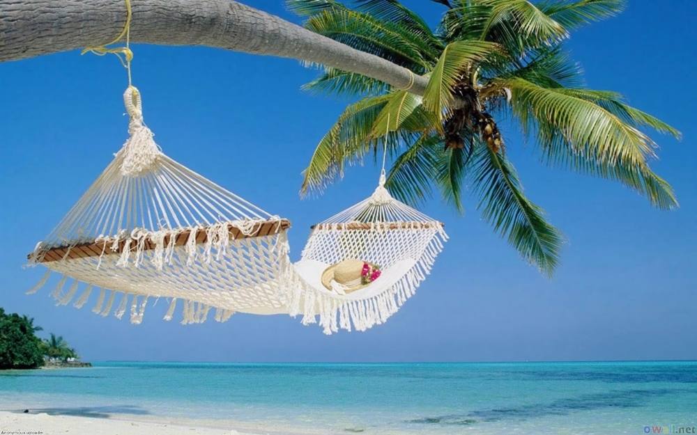 Season-(Summer-ฤดูร้อน)HD-Wallpapers-Backgrounds ภาพพื้นหลัง พักหน้าจอ No.29